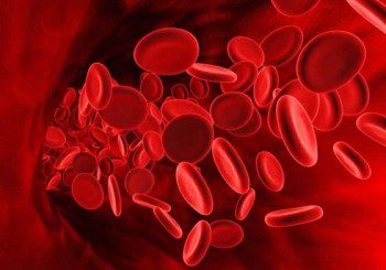Протромбиново време е мярка за кръвосъсирване