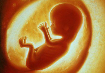 След 30 г. бебетата масово ще се раждат от изкуствена утроба