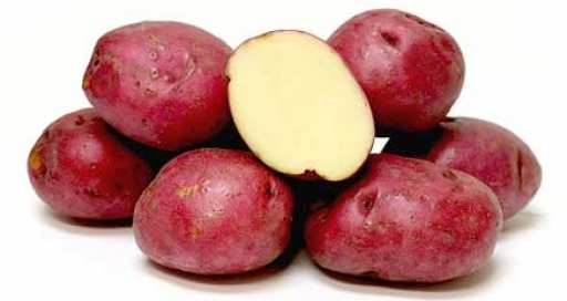 potato red