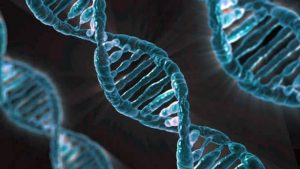 ДНК генетични дефекти