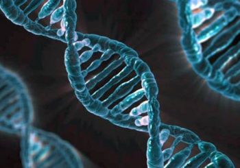 ДНК генетични дефекти