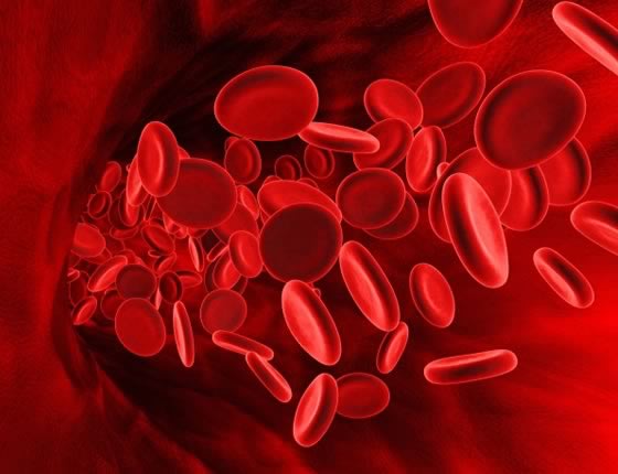 анемия червени кръвни телца