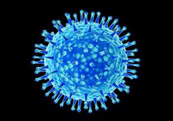 Рожденият ден определя какъв имунитет към грипа имаме