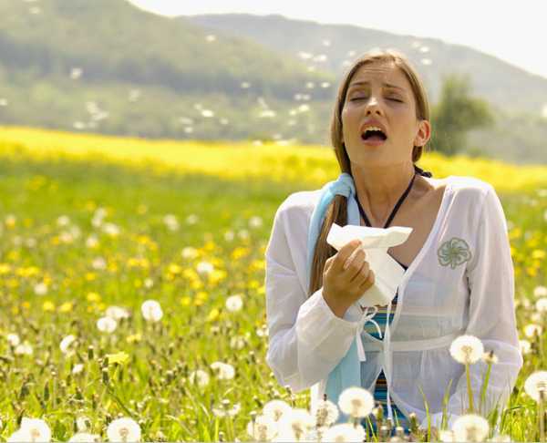 алергия сенна хрема лечение