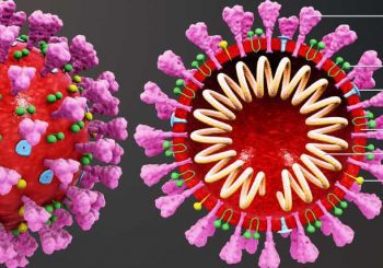 Индийският вариант на коронавируса бил у нас от април, казват чак сега