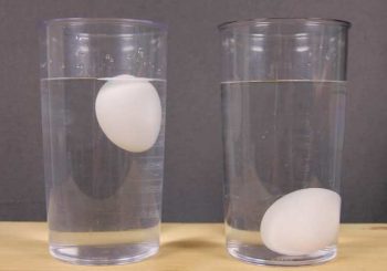 Как да познаем дали яйцата са пресни или стари