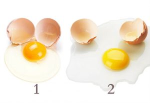 пресни и развалени яйца